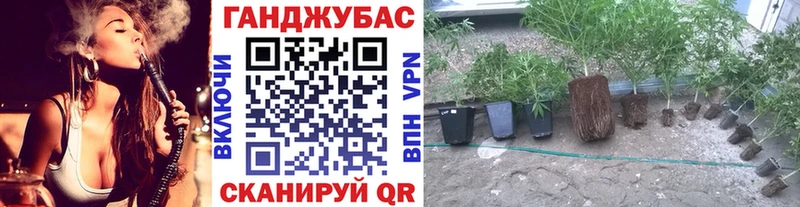 Магазин наркотиков Чердынь МЕТАДОН  APVP  АМФ  ГАШ  МАРИХУАНА 