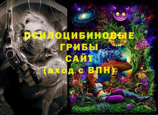 мдпв Володарск