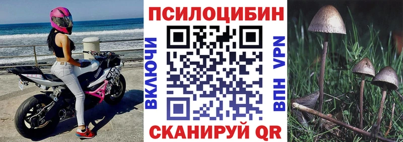 Псилоцибиновые грибы ЛСД Чердынь