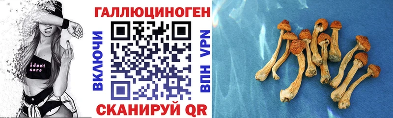 где можно купить наркотик  Чердынь  Галлюциногенные грибы Magic Shrooms 